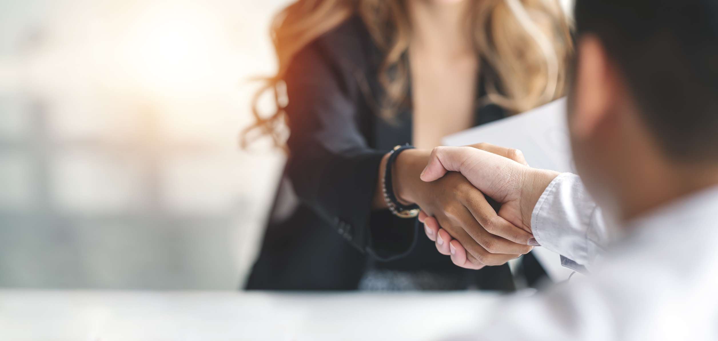 Businesswoman handshake and business people. Successful business concept. Successful business .